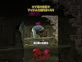 コソ泥の本能でアイテムを掘りまくろう #DbD #DeadbyDaylight #デッドバイデイライト