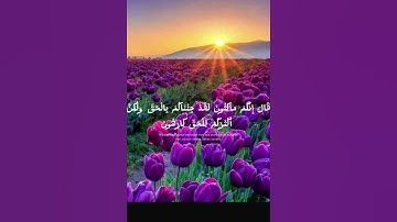 #سورة_الزخرف #القارئ_ياسر_الدوسري ان المجرمين في عذاب جهنم خالدون