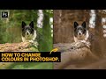 Photoshop Color Change Tutorial Quiz
