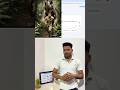 AI से Video बनाकर पैसे कैसे कमाएं | Free AI Video Generation Tutorial हिंदी में #aivideo #aishorts