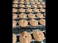 Plastic parts wood grain transfer printing processing