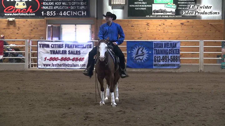 Derek Heitland & Miss Sugar Gunnit - NRHA Open at ...