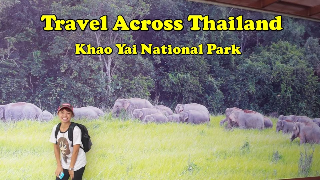 Driving through Thailand Khoa Yai National park