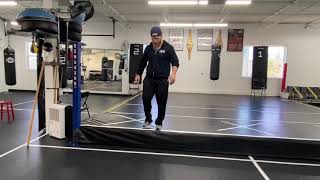Low Box Step Off Single Leg Catch