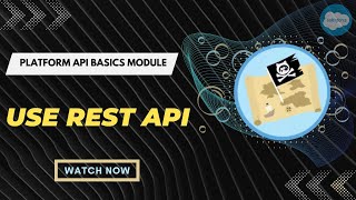 Salesforce Trailhead - Use REST API Profile