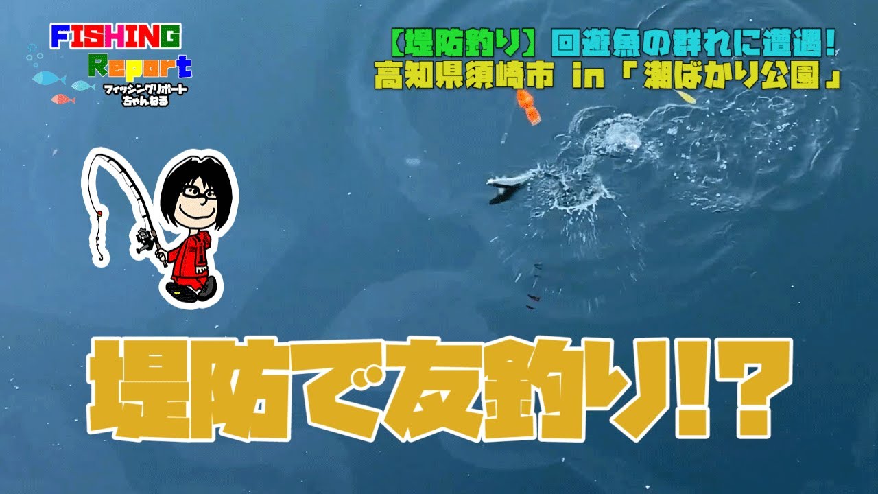 堤防釣り 思わぬ回遊魚の群れに遭遇 In 高知県須崎市 潮ばかり公園 Youtube