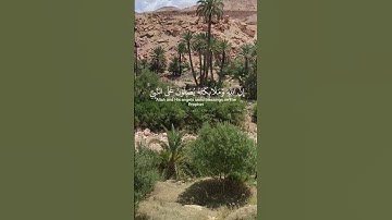 إن الله وملائكته يصلون على النبي. ماتيسر من سورة الأحزاب بصوت القارئ فارس العباد