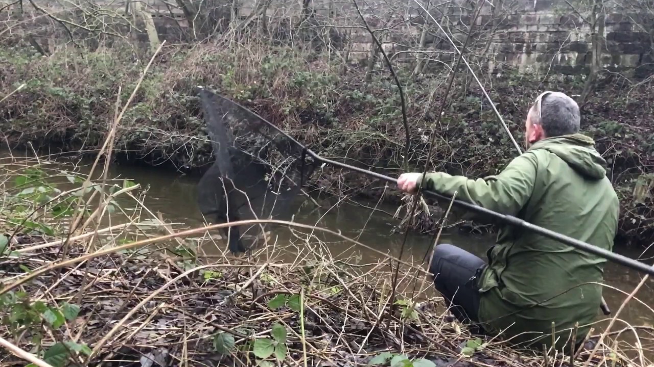 Hour fishing on the Trent, StokeOnTrent YouTube