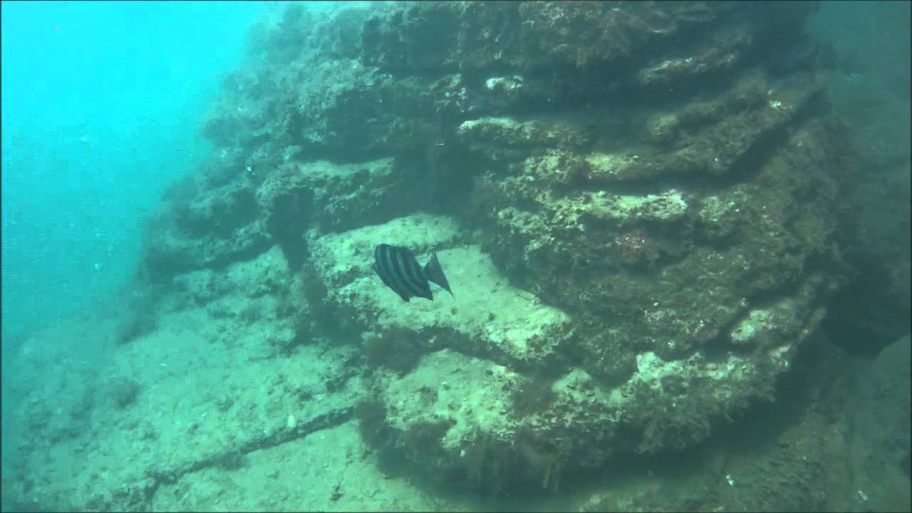 fish around the river mouth 2015-07-31 - YouTube