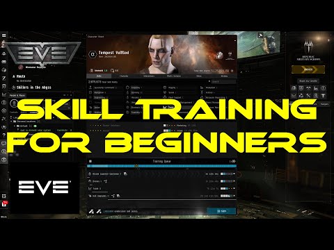 Eve Online Skill Training for Beginners