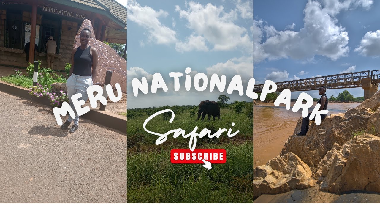 Safari at the Meru Nation Park || Kenyan Safari 