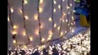 Berea Ace hardware 2013 Christmas float