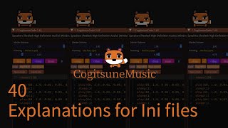 40 Explanations for Ini files