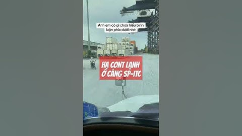 Quy trình vào cảng hạ container lạnh chờ xuất