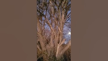 Mistakes are part of the process #makemistakes #einstein #motivation