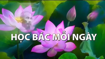 Tư Tưởng Hồ Chí Minh Về Ý Chí Tự Lực Tự Cường, ✅ Tổ Đảng Văn Phòng Chi Bộ XN CS Bình Lợi