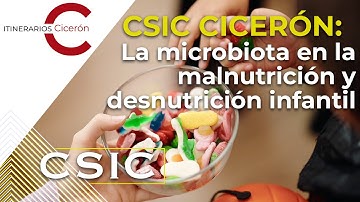 CSIC Cicerón 11.4: El protagonismo de la microbiota en la malnutrición y desnutrición infantil