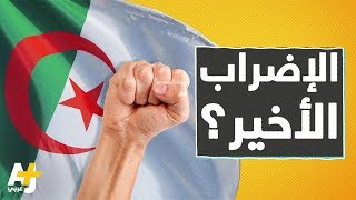 قطاع التعليم في الجزائر إلى أين؟