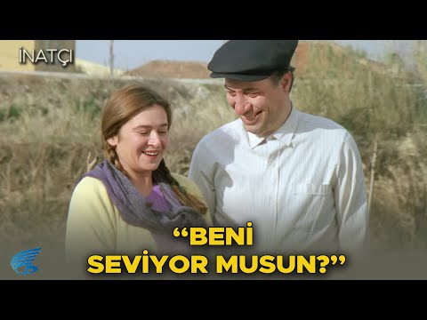 İnatçı Türk Filmi