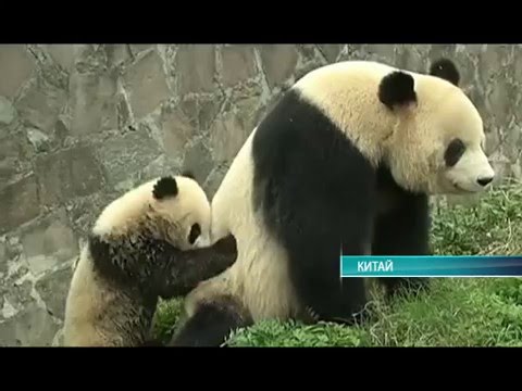 Середина земли 19.04.16