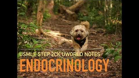 Endocrinology UWORLD High Yield Audio Lecture Review Notes for USMLE STEP 2CK