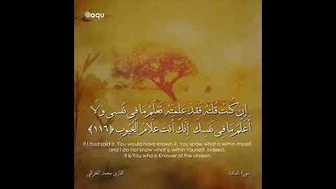 مقطع من سورة المائدة بصوت القارئ محمد الغزالي