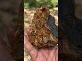 the process of finding gold-fibrous stones in the river #gemstone #geology # #fossil
