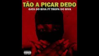 Tão A Picar Dedo - Gata do Biva ft Tropa do Biva (AfroHouse)