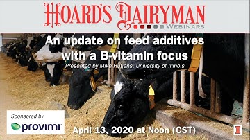 An update on Feed Additives with a B Vitamin Focus