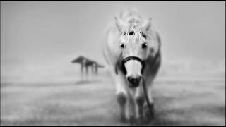 Marcelo Vasami Inception Frisky Radio July 2016