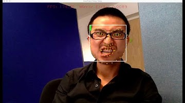 Very fast failure aware face alignment.
