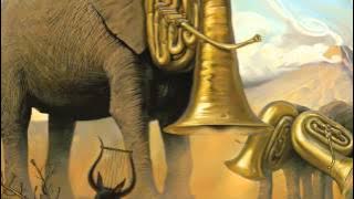 🥬 Lettuce - Phyllis