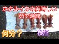 ホタルイカの美味しい茹で時間を検証してみた！ホタルイカパターンは・・・