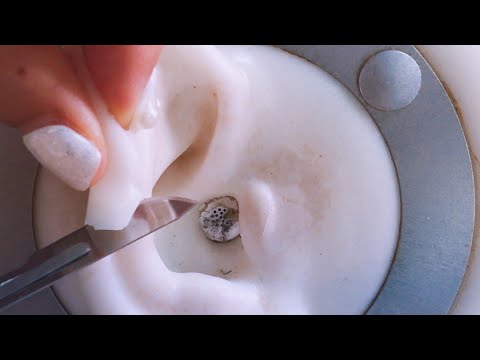ASMR 3dio 귀를 썰어버렸습니다