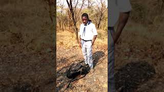 Released a olive whip snake. Net Worth