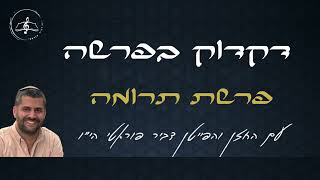 דקדוק בפרשה  - פרשת תרומה - עם החזן והפייטן דביר פוראטי