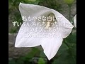 山崎ハコ ★心の花