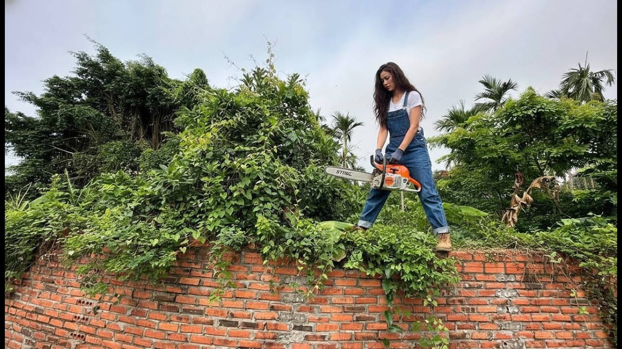 Sawing down giant trees has covered two houses, providing a relaxing cleanup.