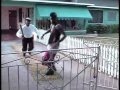 GENERAL DEGREE BODY GUARD Official Video 