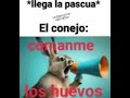 lo siento por no subir videos