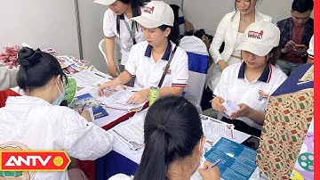 TP.HCM tuyển dụng 63 công chức, viên chức từ sinh viên xuất sắc, cán bộ khoa học trẻ | ANTV