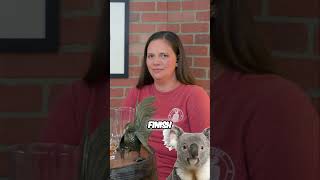 Whiskey Review Tasting Notes, Msrp, And Cool Bottle