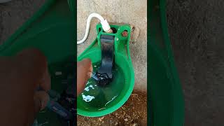 💮💥Fully automatic cow and buffalo water bowl🤩