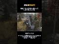 Baikal 65-206よりもテールゲートが高いので邪魔な岩を集めてどこかに捨てる任務に使えるかな？と思ったのですが・・・微妙でしたね😓