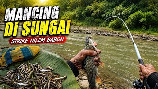 Beruntung.! Mancing Baru Datang Langsung Dapat Sambaran Full Strike di Spot Kedua 