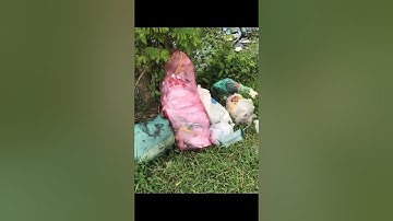 Sản phẩm ý tưởng truyền thông giảm rác thải nhựa (WWF-HUSC-32)