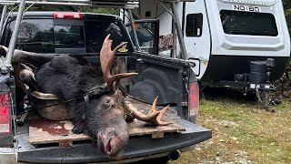 Maine Moose Hunt  October 2023