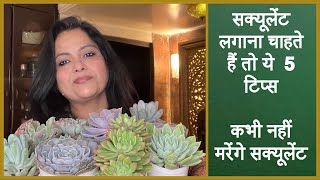 5 basic Succulent caring tips for beginners  ॥ सक्यूलेंट ग्रो करने के लिए 5 बातों का रखे ध्यान