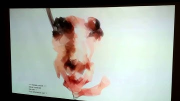 Kinect + Flash + Natzke Ribbons