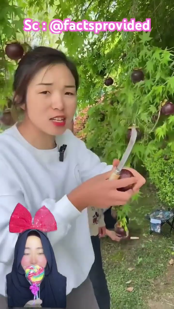 Awas buah pahit  ⁉️ @factsprovided #shorts #funny #dubbing
